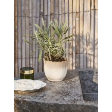 Available from 21 March 2024_Garden and summer cottage novelties from Sostrene Grene (102).jpg